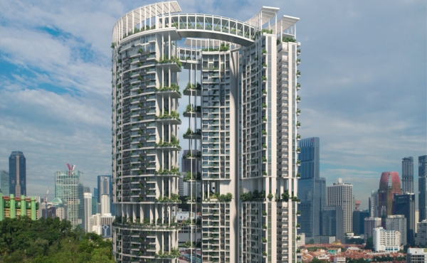 Development Picture Development Picture