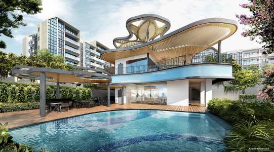 Gazania__Clubhouse Gazania__Clubhouse