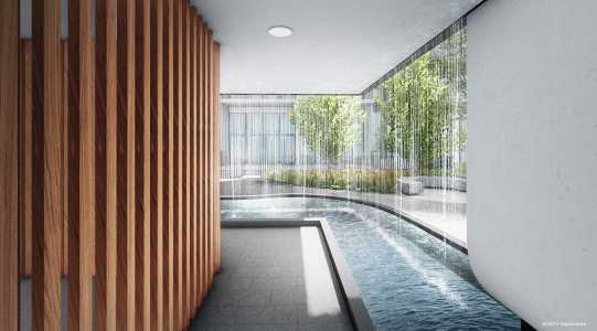 Gazania_Water_Wall Gazania_Water_Wall