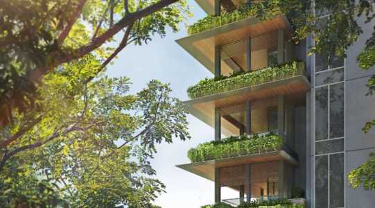 15HH Building through treees 15HH Building through treees