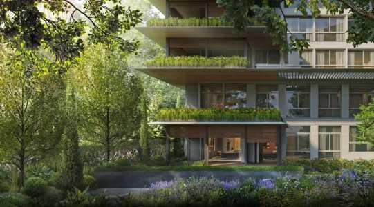 15HH Masionette 15HH Masionette