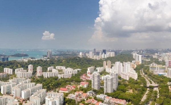 South View South View